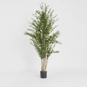Eucalyptus Mini Leaf Tree 180cm Green by TREE CREATIONS, a Plants for sale on Style Sourcebook