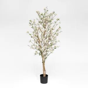 Cherry Blossom Tree 1.8m by TREE CREATIONS, a Plants for sale on Style Sourcebook