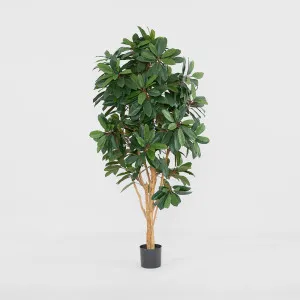 Schefflera Tree W/700 Leaves Green by TREE CREATIONS, a Plants for sale on Style Sourcebook