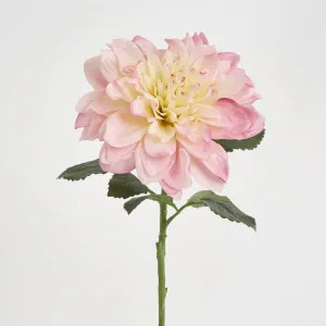 Giant Dahlia Stem 70cm Pink by Florabelle Living, a Plants for sale on Style Sourcebook