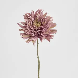 Dahlia Spray 56cm Dark Pink by Florabelle Living, a Plants for sale on Style Sourcebook