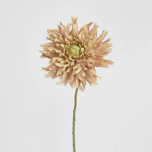 Dahlia Spray 56cm Light Pink by Florabelle Living, a Plants for sale on Style Sourcebook
