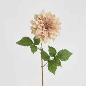 Dried Look Dahlia Stem Large 61cm Light Pink by Florabelle Living, a Plants for sale on Style Sourcebook