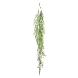 Astible Hanging Vine 1.42m by Florabelle Living, a Plants for sale on Style Sourcebook