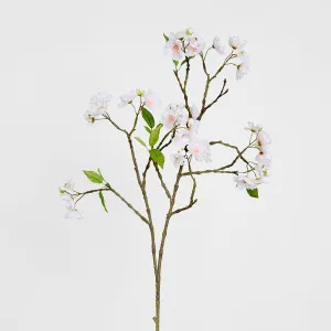 Blossom Spray 78cm Light Pink by Florabelle Living, a Plants for sale on Style Sourcebook