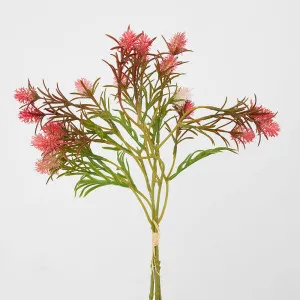 Wild Berry Bundle Dark Pink by Florabelle Living, a Plants for sale on Style Sourcebook