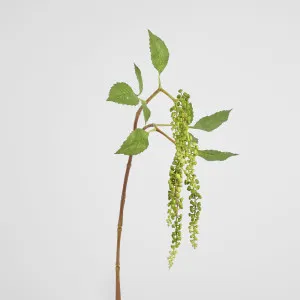Hanging Berry Spray Green by Florabelle Living, a Plants for sale on Style Sourcebook