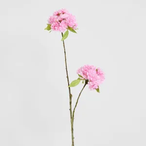 Cherry Blossom Spray 72cm Light Pink by Florabelle Living, a Plants for sale on Style Sourcebook