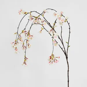 Cherry Blossom Hanging Spray 1.3m Pink by Florabelle Living, a Plants for sale on Style Sourcebook