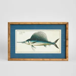 Oceanic Study 2 Wall Art 60x32cm by Florabelle Living, a Prints for sale on Style Sourcebook