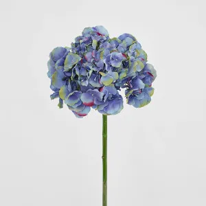 Hydrangea 50cm Dark Blue by Florabelle Living, a Plants for sale on Style Sourcebook