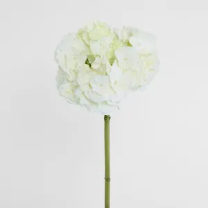 Hydrangea 50cm White by Florabelle Living, a Plants for sale on Style Sourcebook