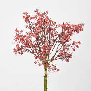 Baby's Breath Bundle Pink by Florabelle Living, a Plants for sale on Style Sourcebook