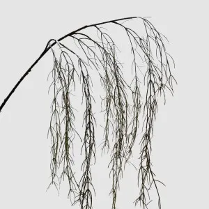 Coral Grass Green 156cm by Florabelle Living, a Plants for sale on Style Sourcebook