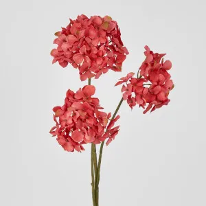 Mini Hydrangea Spray With 3 Heads Dk Pink by Florabelle Living, a Plants for sale on Style Sourcebook
