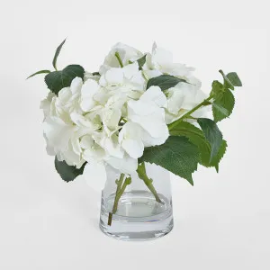 Hydrangea in Vase 31cm White by Florabelle Living, a Plants for sale on Style Sourcebook