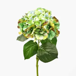 Real Touch Hydrangea 64cm Green by Florabelle Living, a Plants for sale on Style Sourcebook