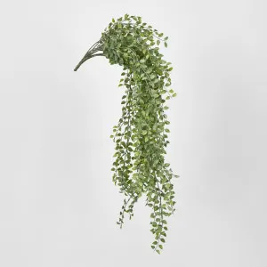 Hanging Boxwood Bush by JMC FLORALS, a Plants for sale on Style Sourcebook