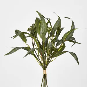 Eucalyptus Seeded Bundle 43cm by JMC FLORALS, a Plants for sale on Style Sourcebook