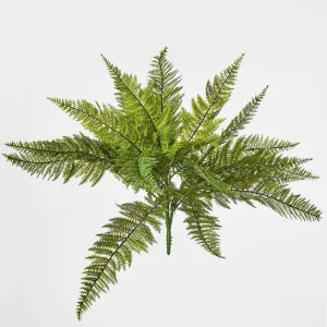 Leather Fern Bush W/26 Leaves by JMC FLORALS, a Plants for sale on Style Sourcebook