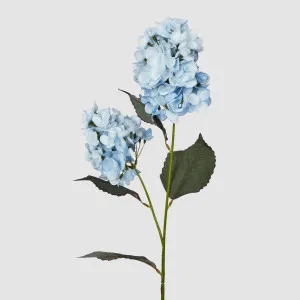 Light Blue Cone Hydrangea 93cm by JMC FLORALS, a Plants for sale on Style Sourcebook