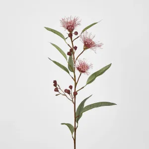 Flowering Eucalyptus Pink by JMC FLORALS, a Plants for sale on Style Sourcebook