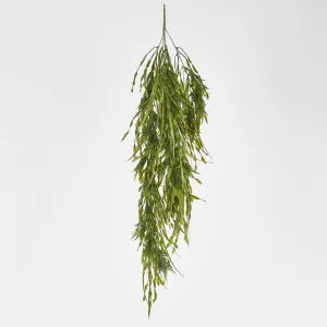 Hanging Amaranthus Grass by JMC FLORALS, a Plants for sale on Style Sourcebook