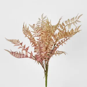 Fern Bush Pink by JMC FLORALS, a Plants for sale on Style Sourcebook