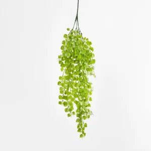 Hanging Buxus Greenery Light Green by JMC FLORALS, a Plants for sale on Style Sourcebook