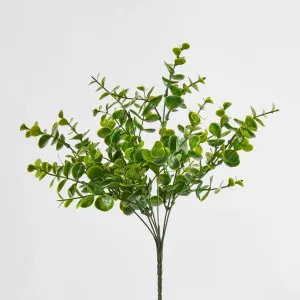 Eucalyptus Bush Green by JMC FLORALS, a Plants for sale on Style Sourcebook