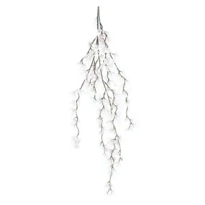 Orchid Spider Hanging 1.1m White by Florabelle Living, a Plants for sale on Style Sourcebook