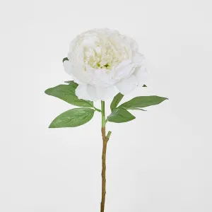 Peony Queen 70cm White by Florabelle Living, a Plants for sale on Style Sourcebook