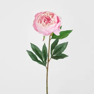 Peony Half Open 70cm Pink by Florabelle Living, a Plants for sale on Style Sourcebook