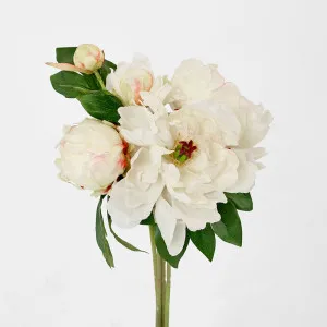 Peony Bouquet Mixed 30cm Cream by Florabelle Living, a Plants for sale on Style Sourcebook