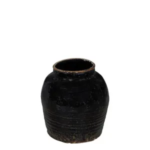 Sanne Antique Wine Pot by Florabelle Living, a Plants for sale on Style Sourcebook