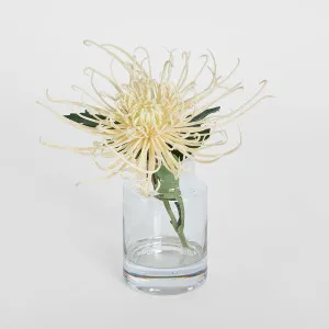Spider Mum Stem in Vase 20cm Cream by Florabelle Living, a Plants for sale on Style Sourcebook