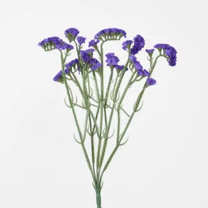 Statice Bunch by JMC FLORALS, a Plants for sale on Style Sourcebook