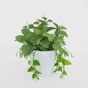 Leaves in White Plastic Pot 35cm by Florabelle Living, a Plants for sale on Style Sourcebook