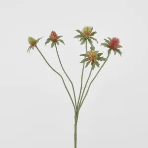 Thistle Spray Red by JMC FLORALS, a Plants for sale on Style Sourcebook