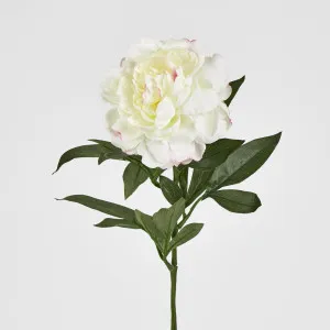 Peony Stem 66cm White by JMC FLORALS, a Plants for sale on Style Sourcebook