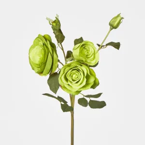 Rose Spray Green by JMC FLORALS, a Plants for sale on Style Sourcebook