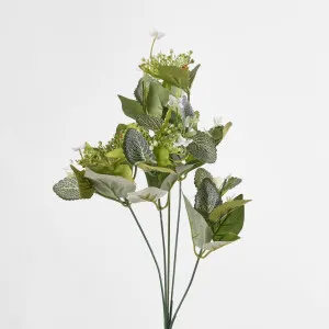Queenanne Lace Bush by JMC FLORALS, a Plants for sale on Style Sourcebook