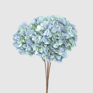 Hydrangea Bush Dark Blue by JMC FLORALS, a Plants for sale on Style Sourcebook