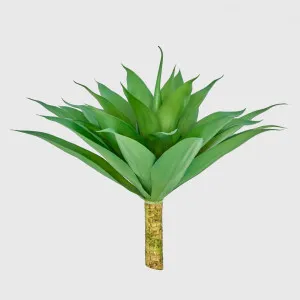Giant Agave Stem trunk by JMC FLORALS, a Plants for sale on Style Sourcebook