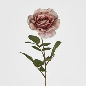 Rose Stem Dusty Pink by JMC FLORALS, a Plants for sale on Style Sourcebook