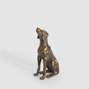 Ralph Sitting Dog Antique Finish by Florabelle Living, a Statues & Ornaments for sale on Style Sourcebook