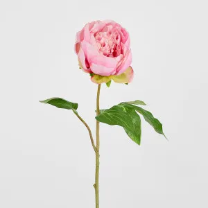 Peony Spray 60cm Pink by Florabelle Living, a Plants for sale on Style Sourcebook