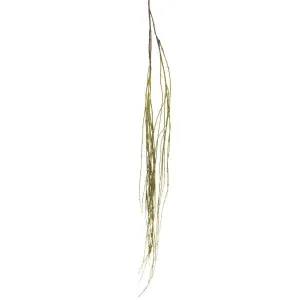 Willow Vine Spray 1.6m Green by Florabelle Living, a Plants for sale on Style Sourcebook