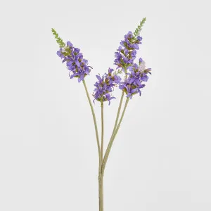Salvia Nutans Sage Spray 84cm Lavender by Florabelle Living, a Plants for sale on Style Sourcebook