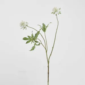 Scabiosa Spray 94cm by Florabelle Living, a Plants for sale on Style Sourcebook